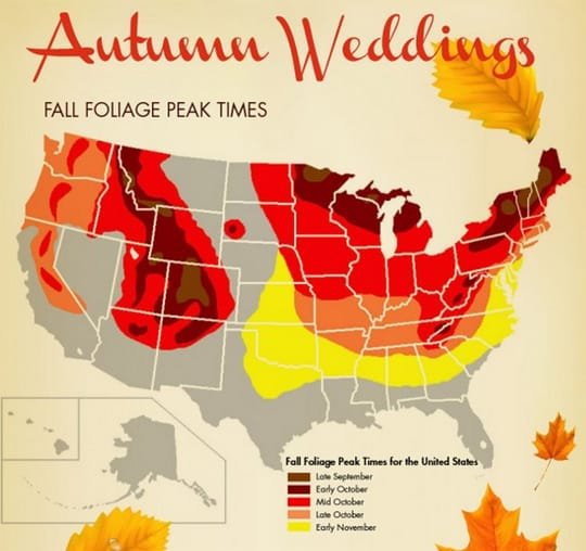 Tips Trends Rustic Weddings
