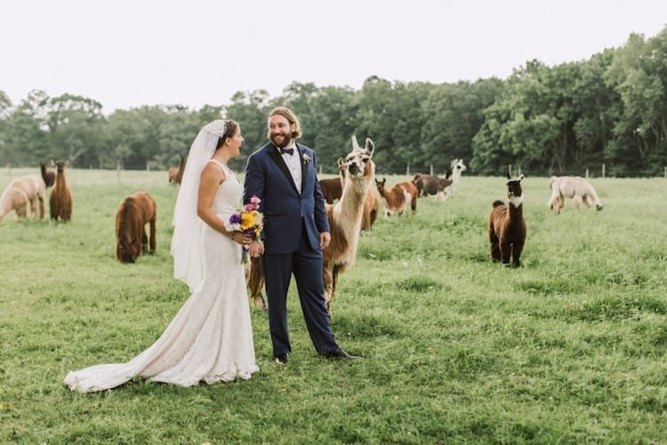 nj-barn-wedding-venue-woodsedge-farm